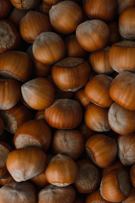 Close up of whole hazelnuts